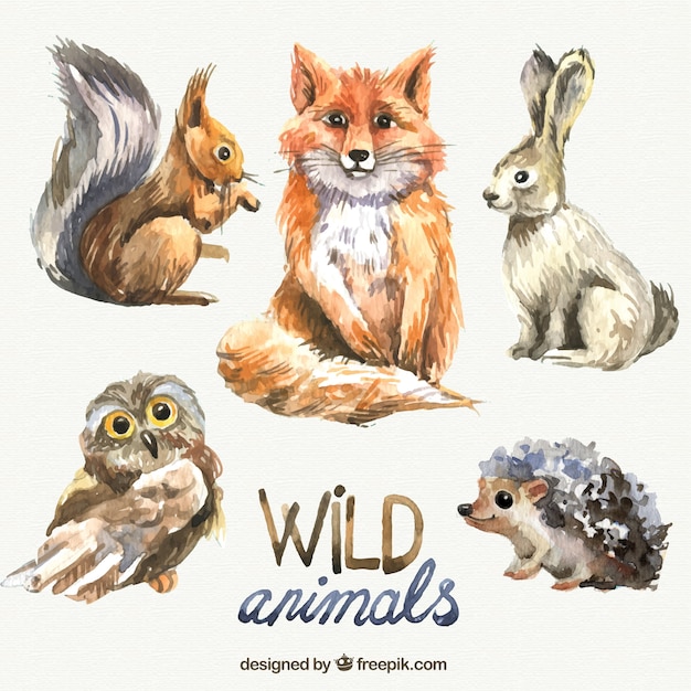 Vector watercolor wild animals