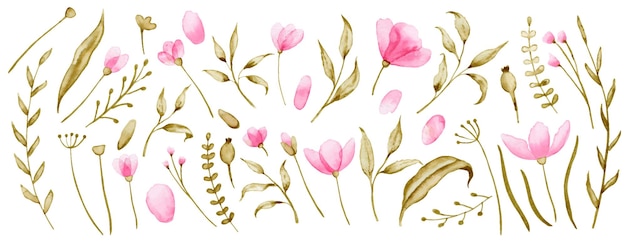 Watercolor wild pink Flowers and green leaves Hand painted Floral vector set Botanic collection on white isolated background