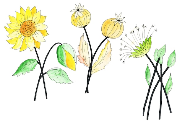 수채화 야생화 컬렉션입니다. 식물 봄 여름 꽃 세트입니다. 정원 꽃 녹지 야생입니다.