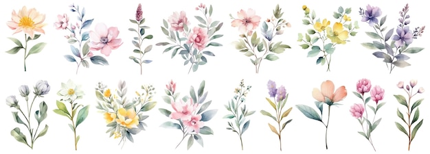 Watercolor Wildflower Collection Hand drawn flower design elements isolated on white background