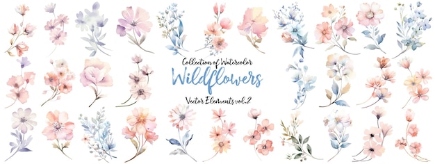 Watercolor Wildflower Collection Hand drawn flower design elements isolated on white background
