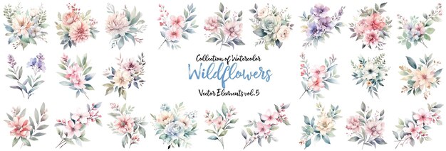 Watercolor Wildflower Collection Hand drawn flower design elements isolated on white background