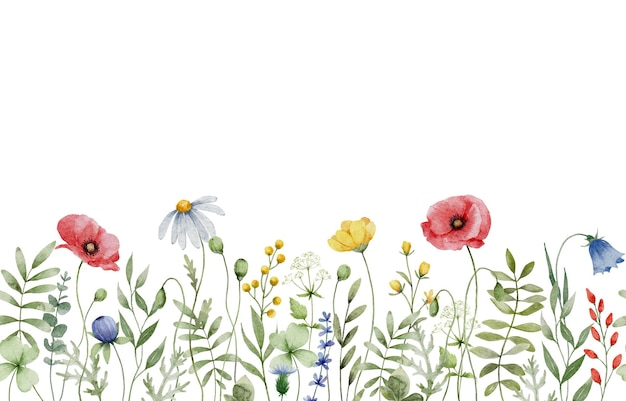 Vector watercolor wildflower seamless horizontal border
