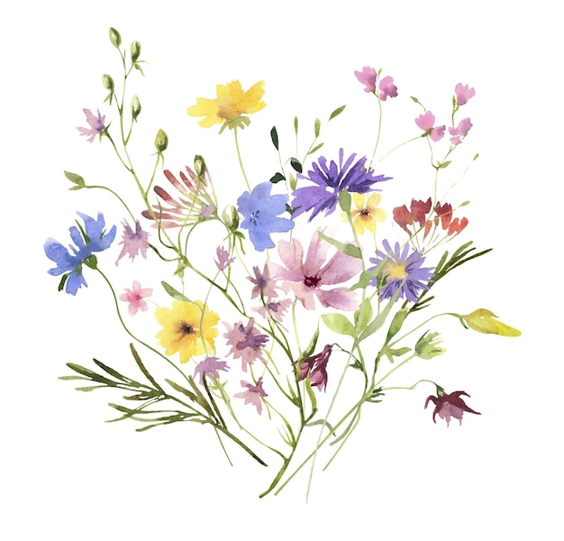 Vector watercolor wildflowers bouquet botanical floral illustration