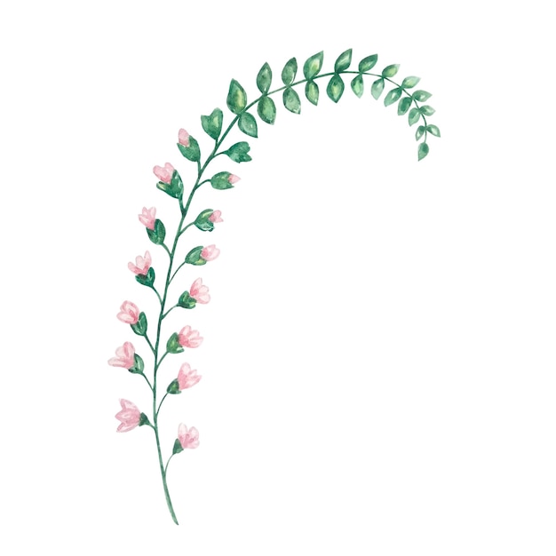 Watercolor wildflowers delicate botanical illustration