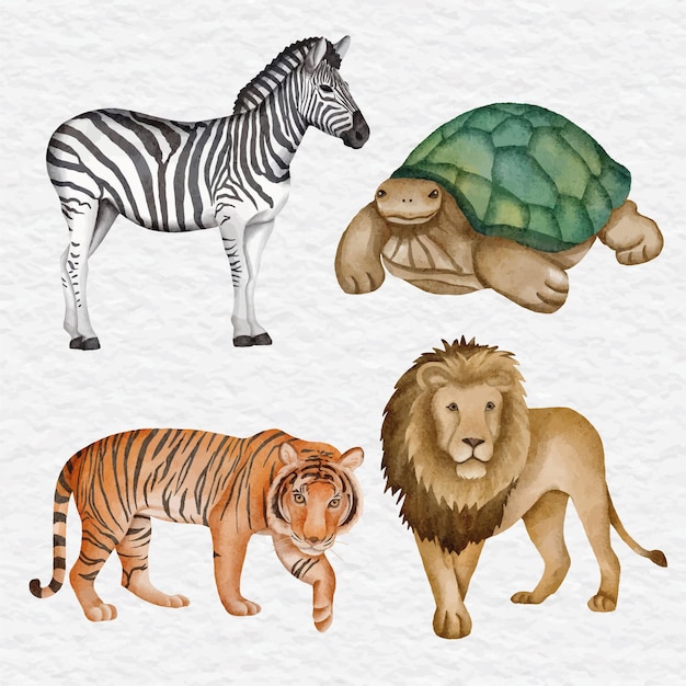 Watercolor wildlife collection illustration