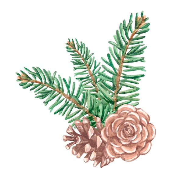 Vector watercolor winter fir branch the cone. christmas decor. pine cone with a christmas tree branch