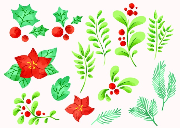 水彩の冬の森の花と花の冬の装飾のイラスト