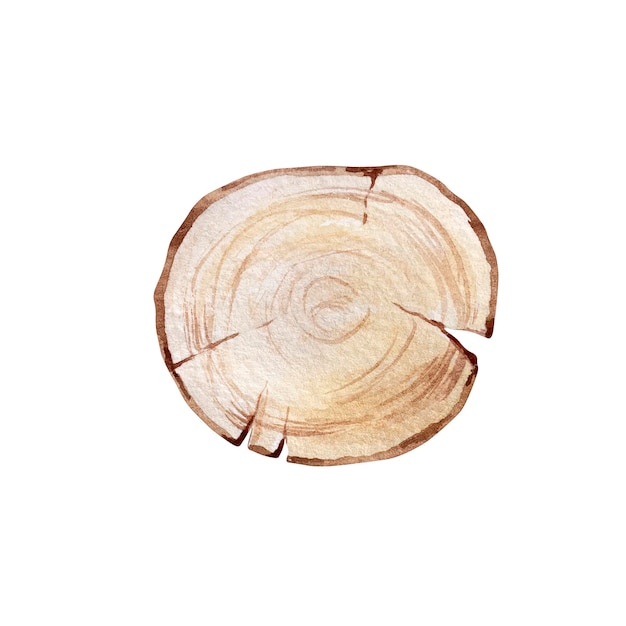 Vector watercolor winter illustration, wooden round slice on a white background