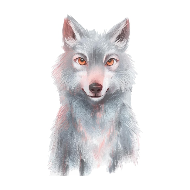 watercolor of wolf white background 11