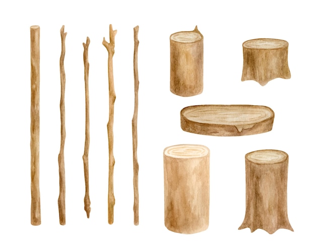 Set di bastoncini e ceppi di legno ad acquerello rami di albero disegnati a mano e fetta di legno