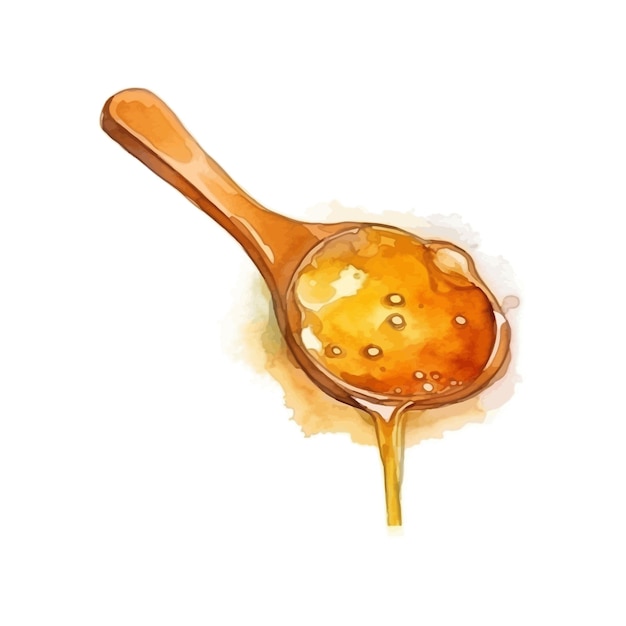 Vector watercolor wooden round spoon for honey with drops illustration