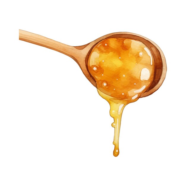 Vector watercolor wooden round spoon for honey with drops illustration