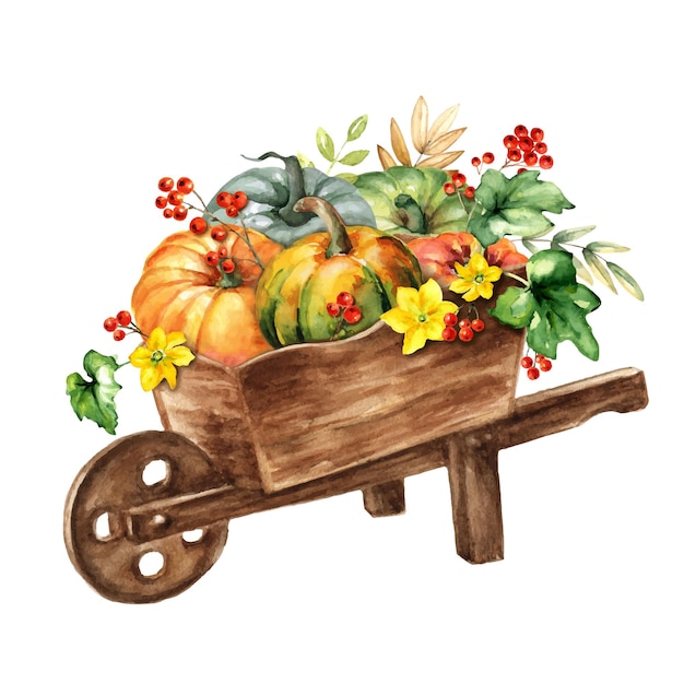 Vector watercolor wooden wheelbarrow with pumpkin harvest