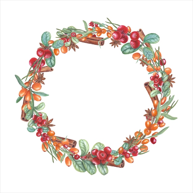 Watercolor wreath of sea buckthorn star anise cowberry pine needles Berry plant greenery