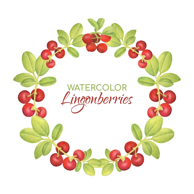 Watercolor wreath with red lingonberries and leaves