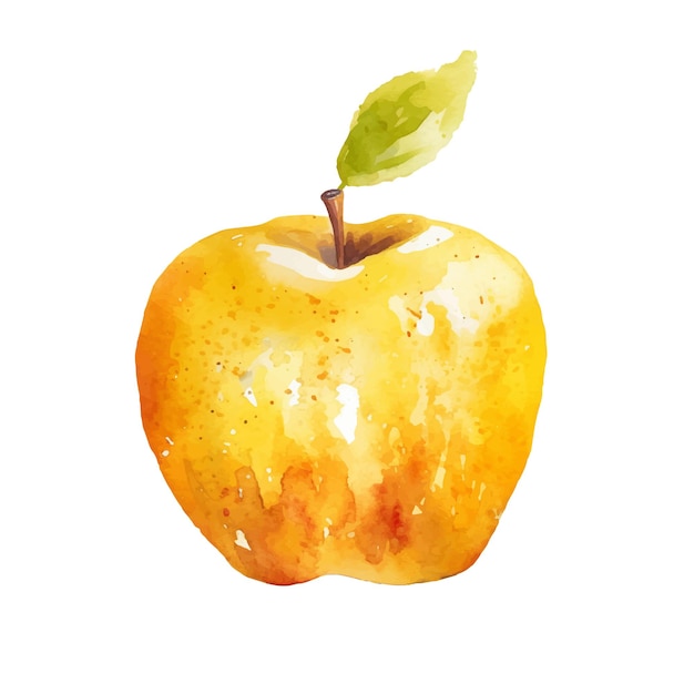 Watercolor Yellow Apple Illustration Handdrawn fresh food design element isolated on a white background