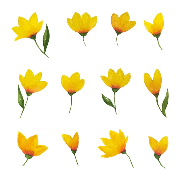 水彩黄色花束套件