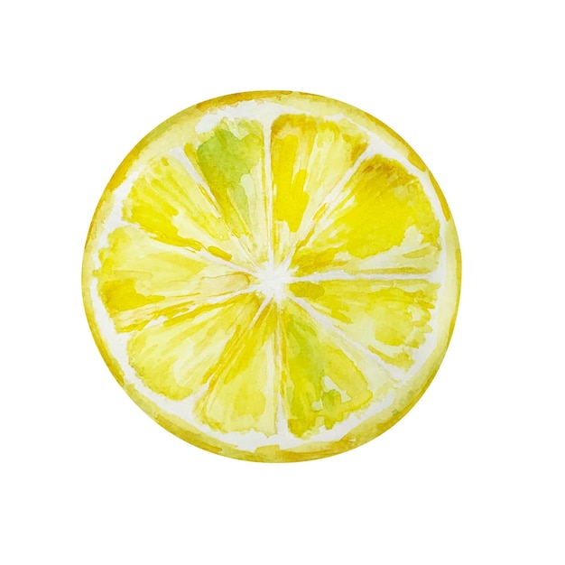 Vector watercolor yellow juicy lemon slice