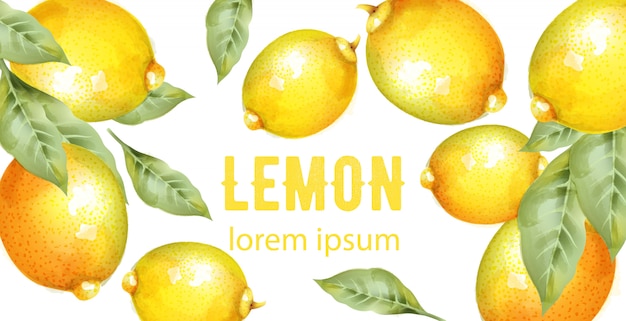 Limoni gialli dell'acquerello con foglie verdi