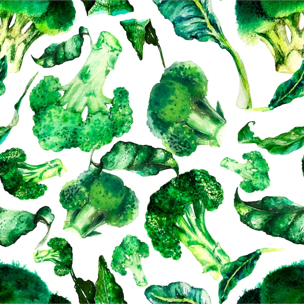 Vector watercolour broccoli seamless pattern