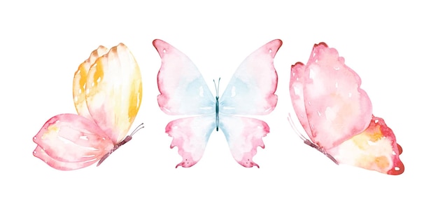 Watercolour collection of flying butterflies.