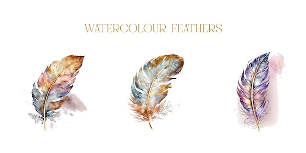 Vector watercolour feathers with golden elements logo design