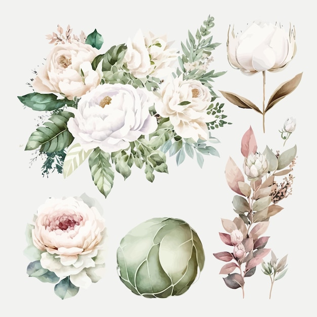 Watercolour floral illustration set Decorative elements template Flat cartoon illustration isolated on white background