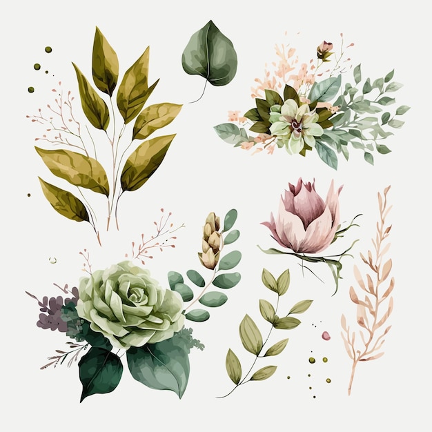 Watercolour floral illustration set Decorative elements template Flat cartoon illustration isolated on white background