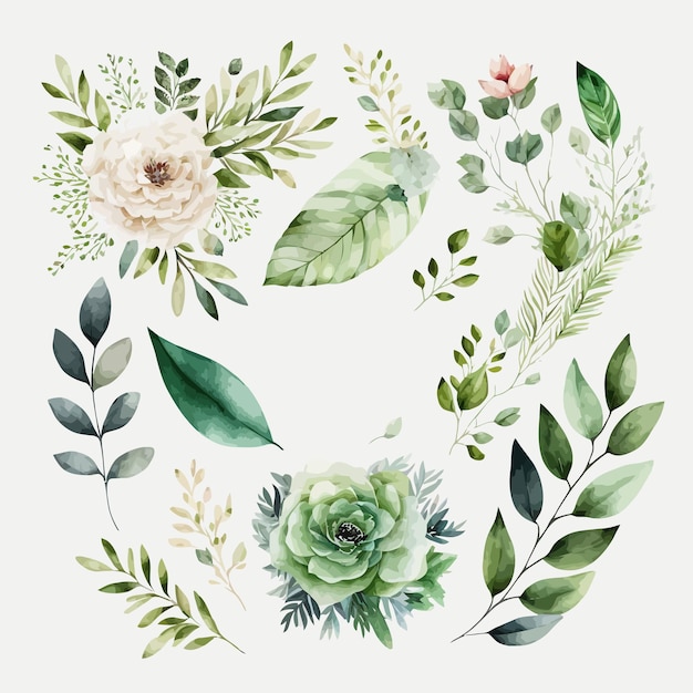 Watercolour floral illustration set Decorative elements template Flat cartoon illustration isolated on white background