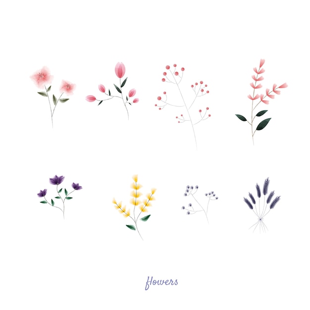 Illustrazione di fiori ad acquerello