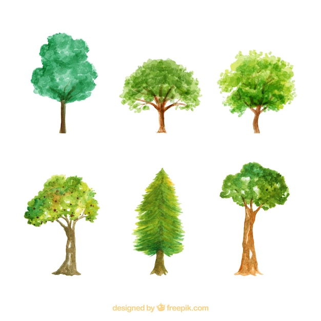 Watercolour hand drawn trees