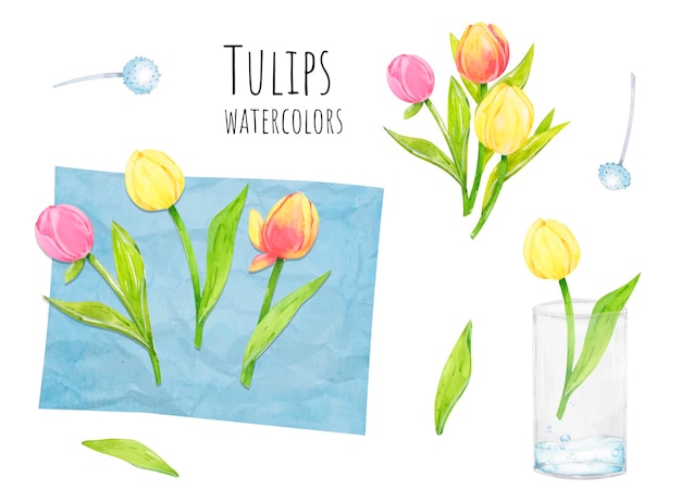 Floristica di disposizione dei fiori dei tulipani dell'acquerello