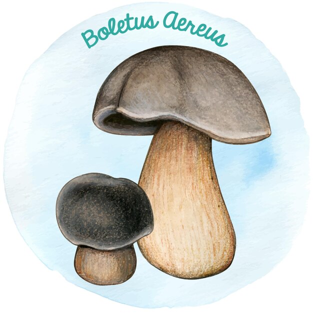 Watercoor handgetekende paddestoel boletus