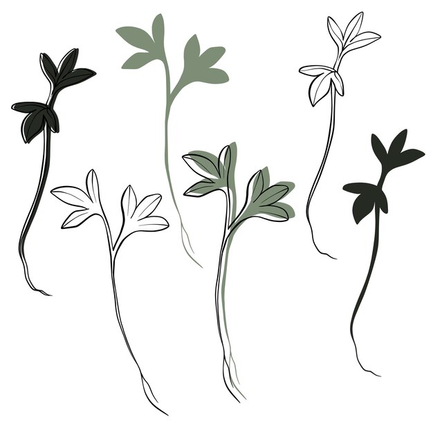 Watercress microgreens vector hand drawn illustration Contour and green plant Sprouts of Watercress plant Set for design menu logo packaging of proper nutrition microelements healthy lifestyle