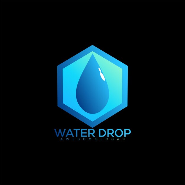 Waterdruppel met zeshoekig logo-ontwerp kleurrijk