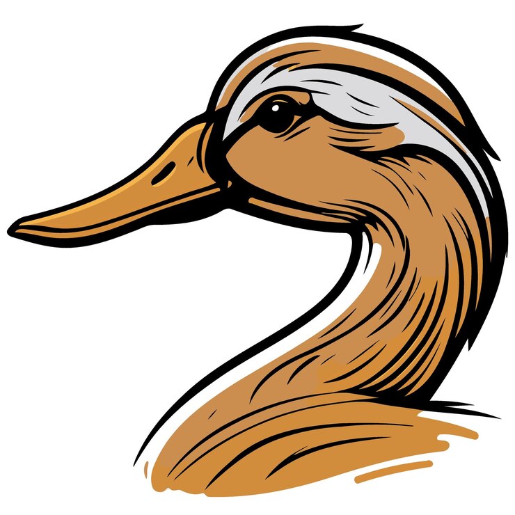 Vector waterfowl duck animal head