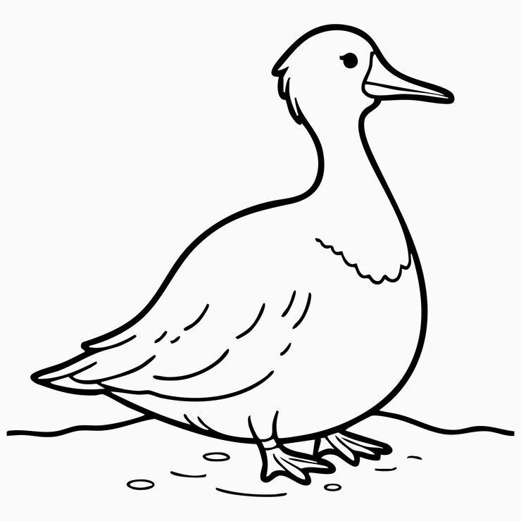 Vector waterfowl silhouette