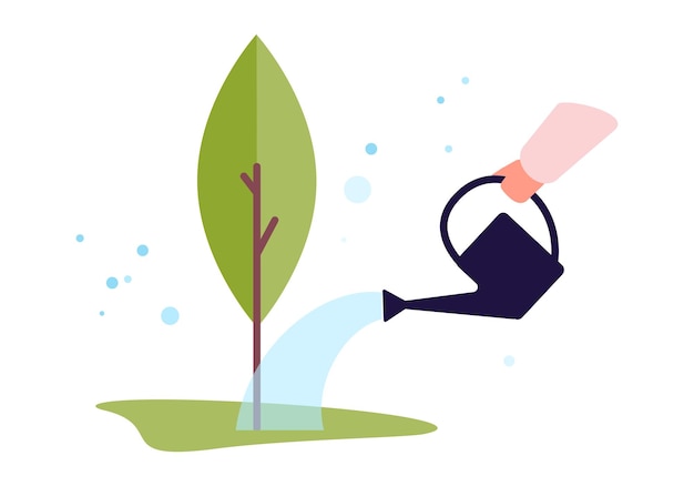 Watering Can and Green plant