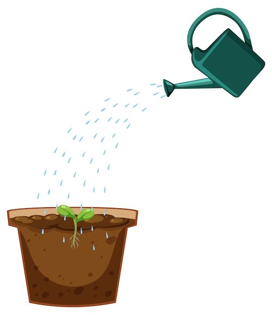 Vector watering can and plant pot