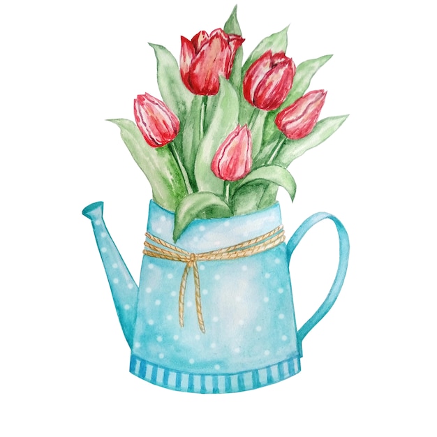 watering can with tulips