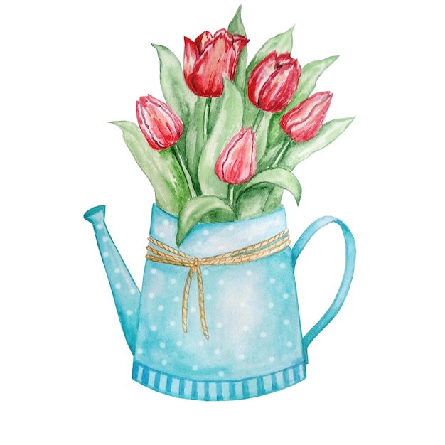 Watering can with tulips