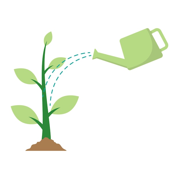 Watering plant plant growth vector illustration on white background