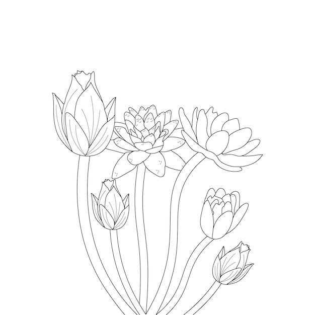 waterlelie kleurplaat en lijntekeningen bloemschets met bloem vectorillustratie