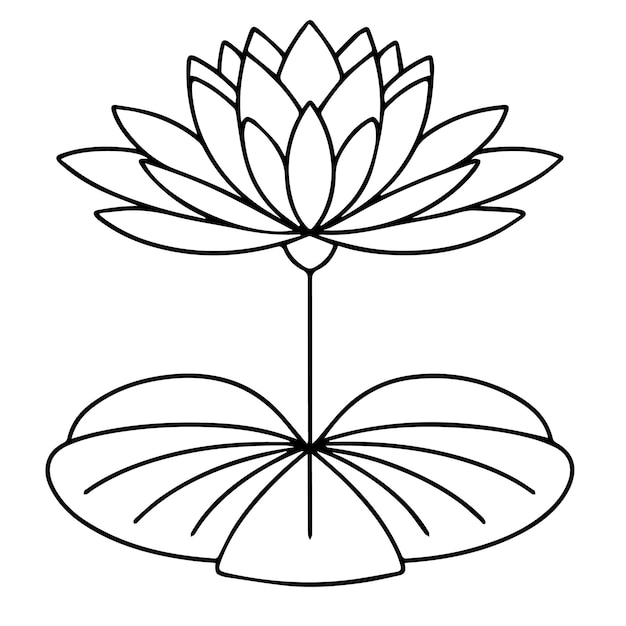 Вектор Цветок водяной лилии изолированный астер клипарт ручной рисунок цветка водяной лилии для взрослых