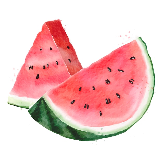 Watermeloen aquarel tekening