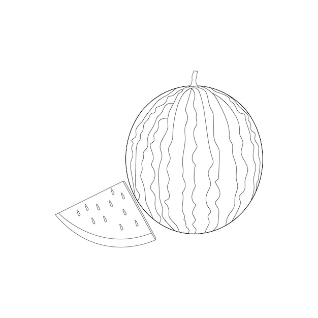 Watermeloen en een schijfje watermeloen fruit lijntekeningen illustratie