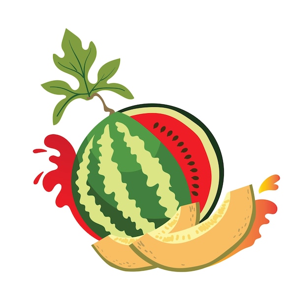 Watermeloen en meloen segmenten Vector illustratie geïsoleerd op een witte achtergrond