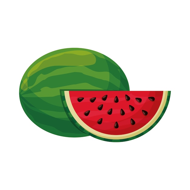 Watermeloen fruit vector