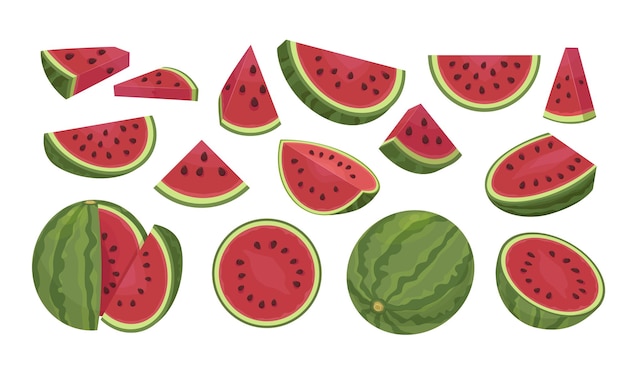 Watermeloen gesneden vers gezond fruit vector cartoon illustraties set watermeloenen
